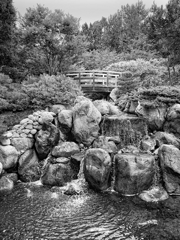 Serene Tranquility by Charissa Lansing (Groups 6 & 24)